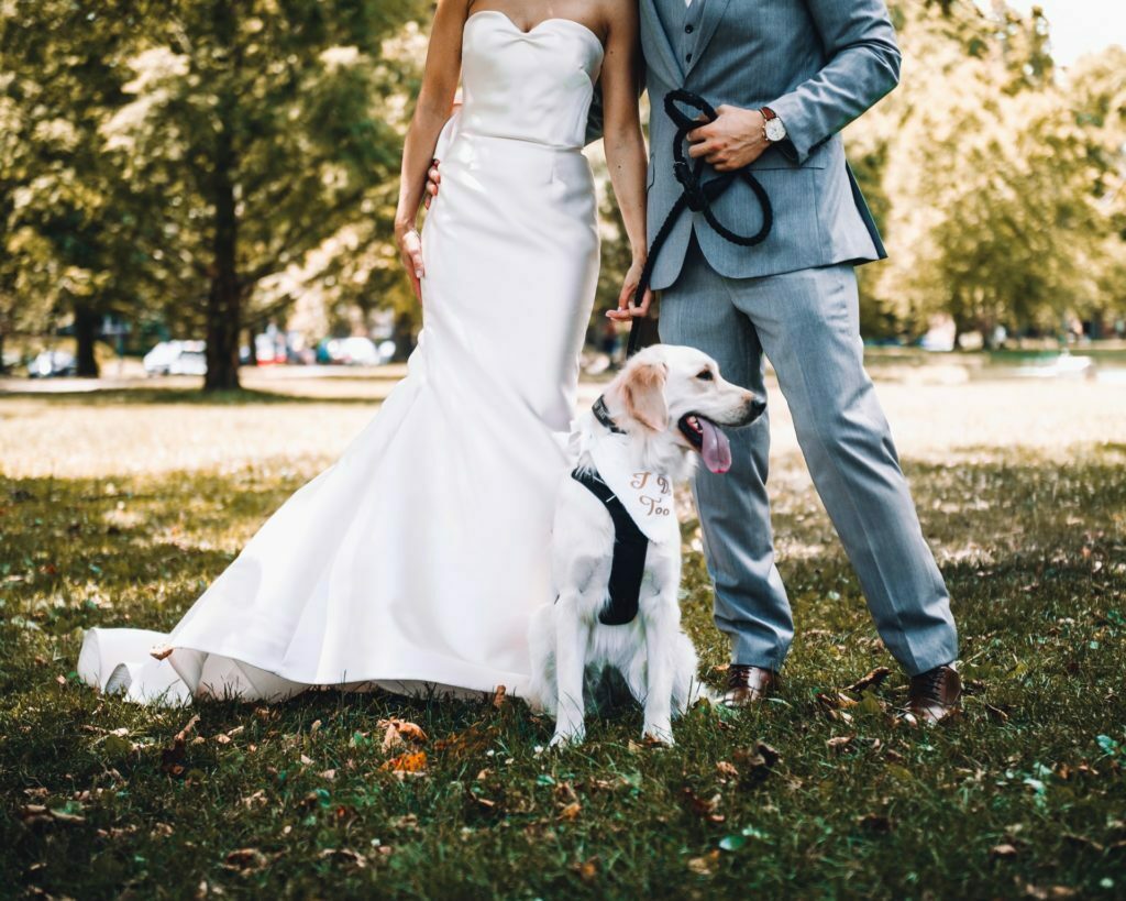 a man and woman walking a dog